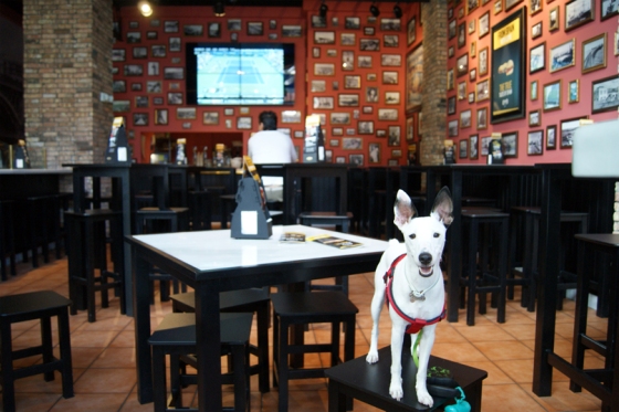 100 Montaditos is dog friendly